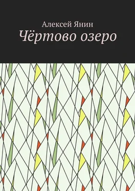 Алексей Янин Чёртово озеро обложка книги