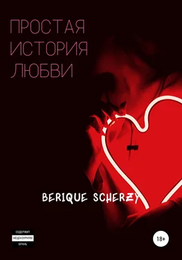 Berique Scherzy Простая история любви обложка книги