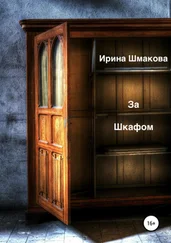 Ирина Шмакова - За шкафом