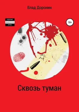 Борис Влад Доронин Сквозь туман обложка книги