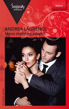 Andrea Laurence Mano mažytė paslaptis обложка книги