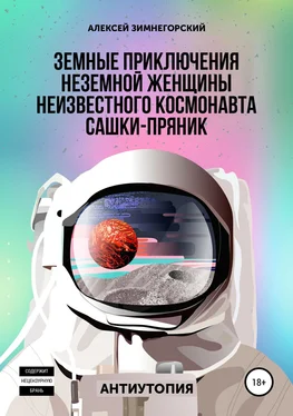 Алексей Зимнегорский Земные приключения неземной женщины неизвестного космонавта Сашки-Пряник обложка книги