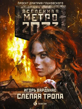 Игорь Вардунас Метро 2033: Слепая тропа обложка книги
