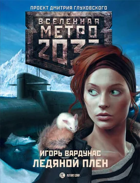 Игорь Вардунас Метро 2033: Ледяной плен обложка книги