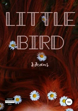 S. Jeans Little Bird обложка книги