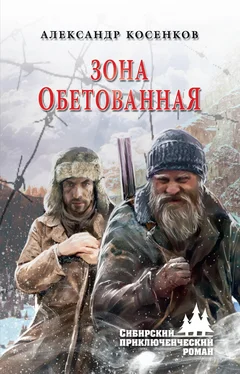 Александр Косенков Зона обетованная обложка книги