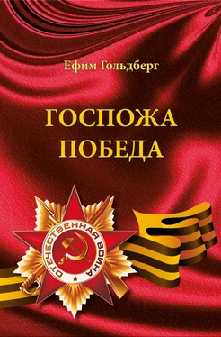 Ефим Гольдберг Госпожа Победа (сборник) обложка книги