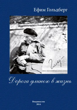 Ефим Гольдберг Дорога длиною в жизнь обложка книги