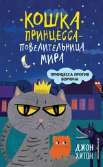 Джон Хитон - Принцесса против Ворчуна