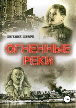 Евгений Шварц Огненные реки обложка книги