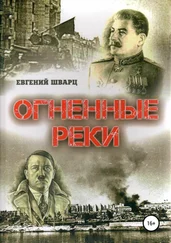 Евгений Шварц - Огненные реки