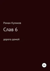 Роман Куликов - Слав 6. Дорога домой