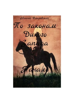 Евгений Топоровский По законам Дикого Запада. Начало обложка книги