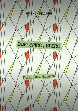 Алекс Гордиан Dum Spiro, Spero. Пока Дышу, Надеюсь обложка книги