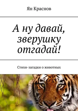 Ян Краснов А ну давай, зверушку отгадай! Стихи-загадки о животных обложка книги