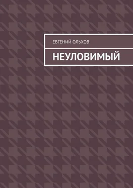 Евгений Ольхов Неуловимый обложка книги