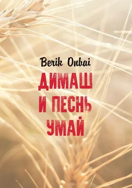 Berik Onbai Димаш и песнь Умай обложка книги
