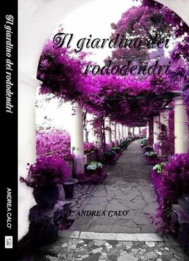 Andrea Calo' Il Giardino Dei Rododendri обложка книги