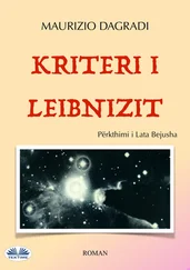 Maurizio Dagradi - Kriteri I Leibnizit