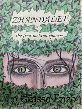 Enzo Lo Grasso Zhandalee And The First Metamorphosis обложка книги