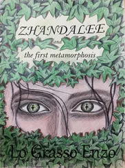 Enzo Lo Grasso - Zhandalee And The First Metamorphosis