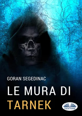 Goran Segedinac Le Mura Di Tarnek обложка книги