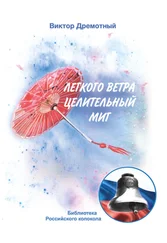 Виктор Дремотный - Легкого ветра целительный миг