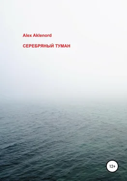 Alex Aklenord Серебряный туман обложка книги