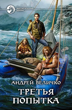 Андрей Величко Третья попытка обложка книги