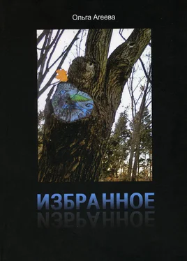 Ольга Агеева Избранное. Сборник стихотворений обложка книги