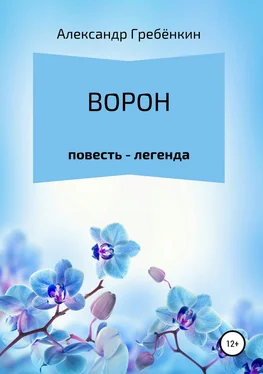 Александр Гребёнкин Ворон обложка книги