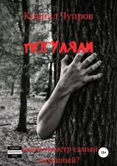 Кирилл Чупров - Погуляли