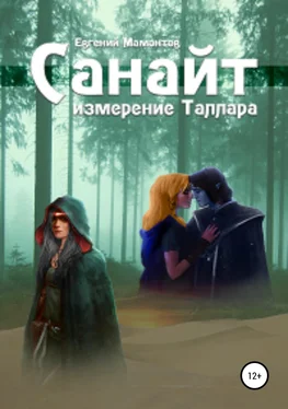 Евгений Мамонтов Санайт обложка книги