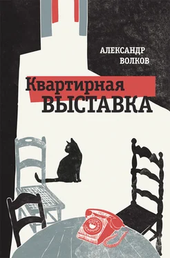 Александр Волков Квартирная выставка обложка книги