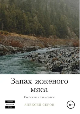 Алексей Серов Запах жженого мяса обложка книги