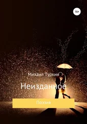 Михаил Туркин - Неизданное