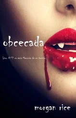 Morgan Rice - Obcecada