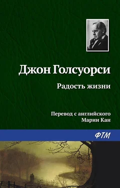 Джон Голсуорси Радость жизни обложка книги