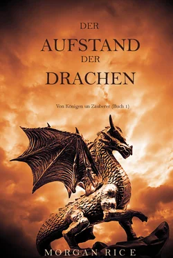 Morgan Rice Der Aufstand Der Drachen обложка книги