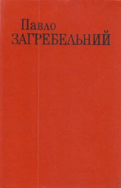 Павло Загребельний Диво обложка книги