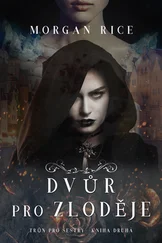 Morgan Rice - Dvůr pro Zloděje