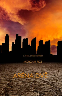 Morgan Rice Aréna Dvě обложка книги