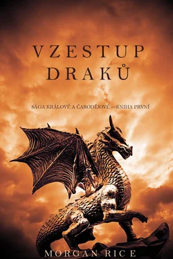 Morgan Rice Vzestup Draků обложка книги