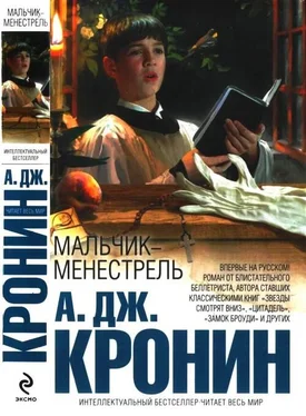 Арчибальд Кронин Мальчик-менестрель обложка книги