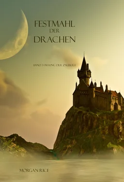 Morgan Rice Festmahl der Drachen обложка книги