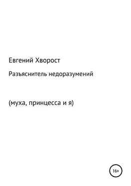 Евгений Хворост Разъяснитель недоразумений обложка книги