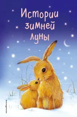 Анна Уилсон - Истории зимней луны (сборник)