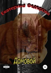 Екатерина Федорова - Домовой