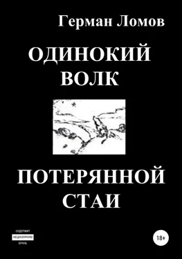 Герман Ломов Одинокий волк потерянной стаи обложка книги