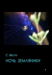 Сен Сейно Весто - Ночь земляники